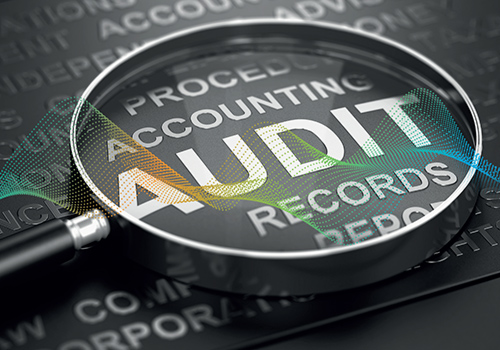 internal-audit-datasheet.jpg